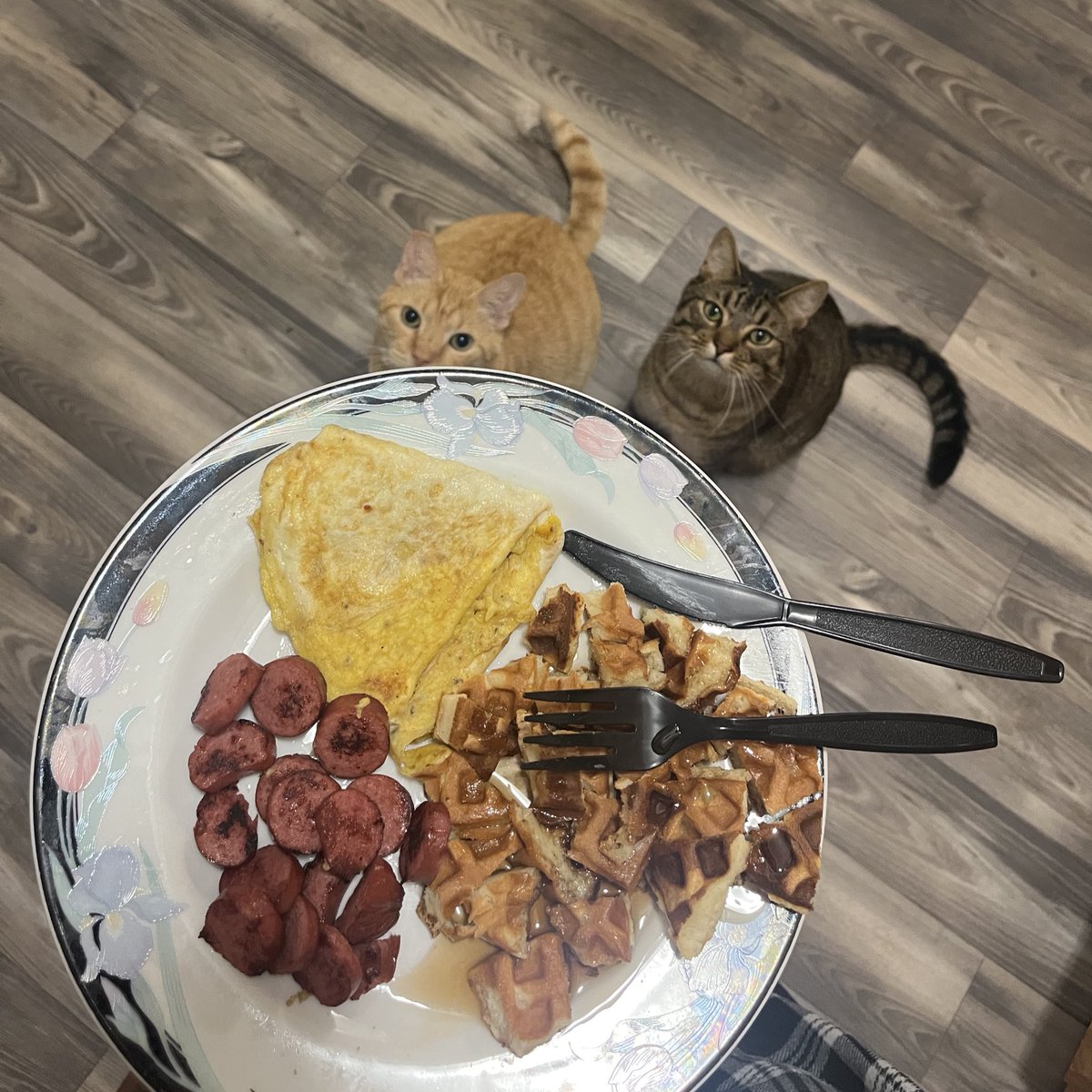 gm

grand rising 💜

count your blessings so blessings continue to come your way.