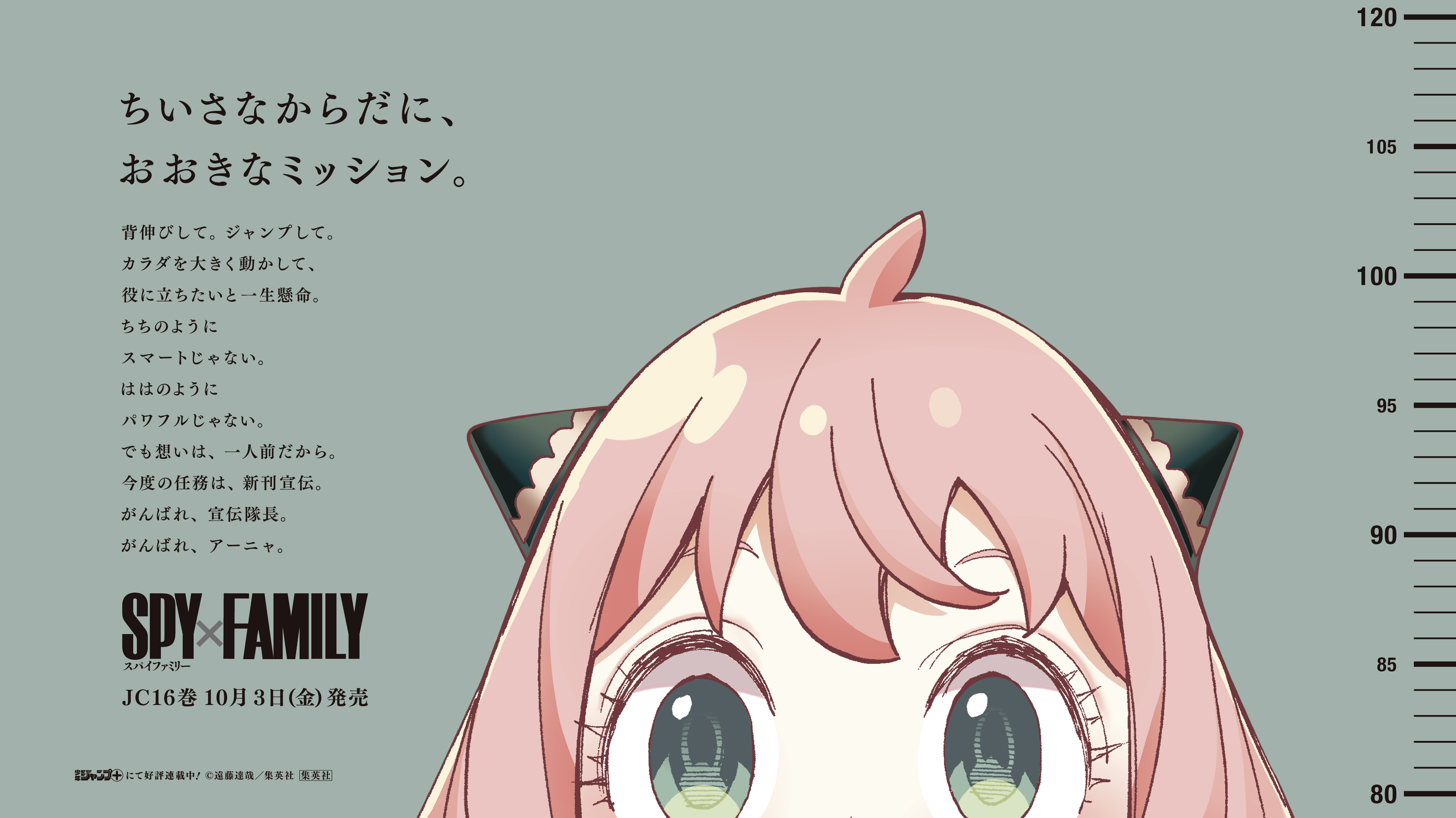 SPY×FAMILY（スパイファミリー）』アニメ公式 (@spyfamily_anime