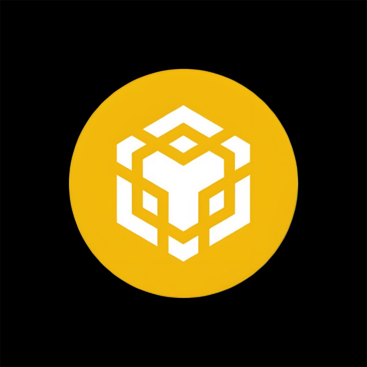 純流入で優位を示すBNB Chainのロゴ