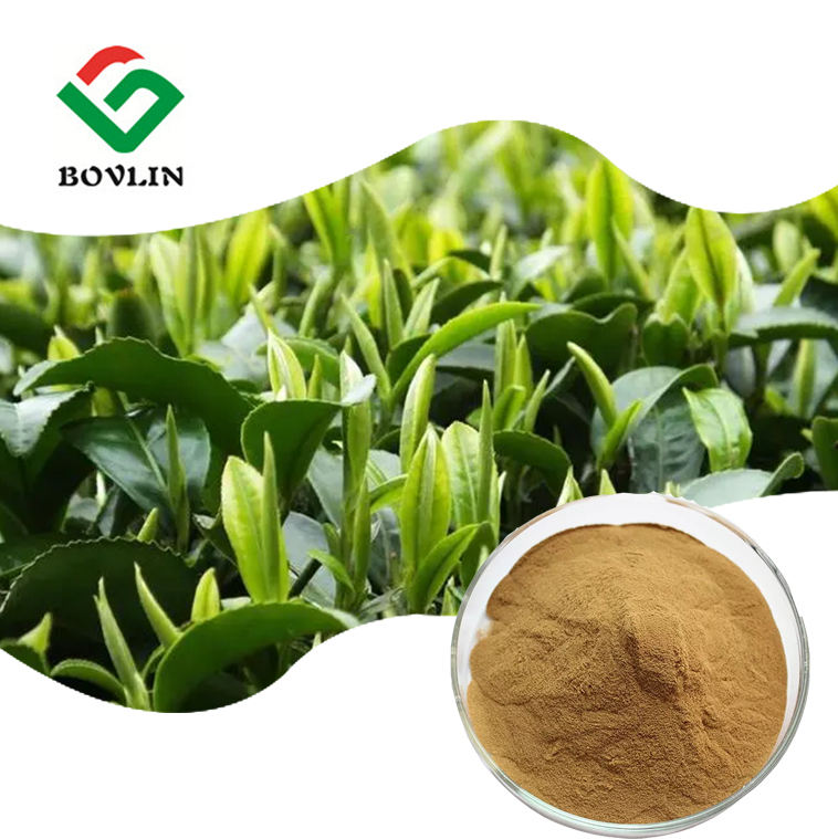 bovlin_herb's tweet image. Unlock the Natural Power of Green Tea Extract!
✅ High Antioxidant Content
✅ Metabolic Support
✅ Cardiovascular &amp;amp; Cognitive Health
✅ Skin Health Benefits
#GreenTeaExtract #EGCG #Nutraceuticals #Cosmetics #BotanicalExtract #Supplier #B2B #HealthyIngredients