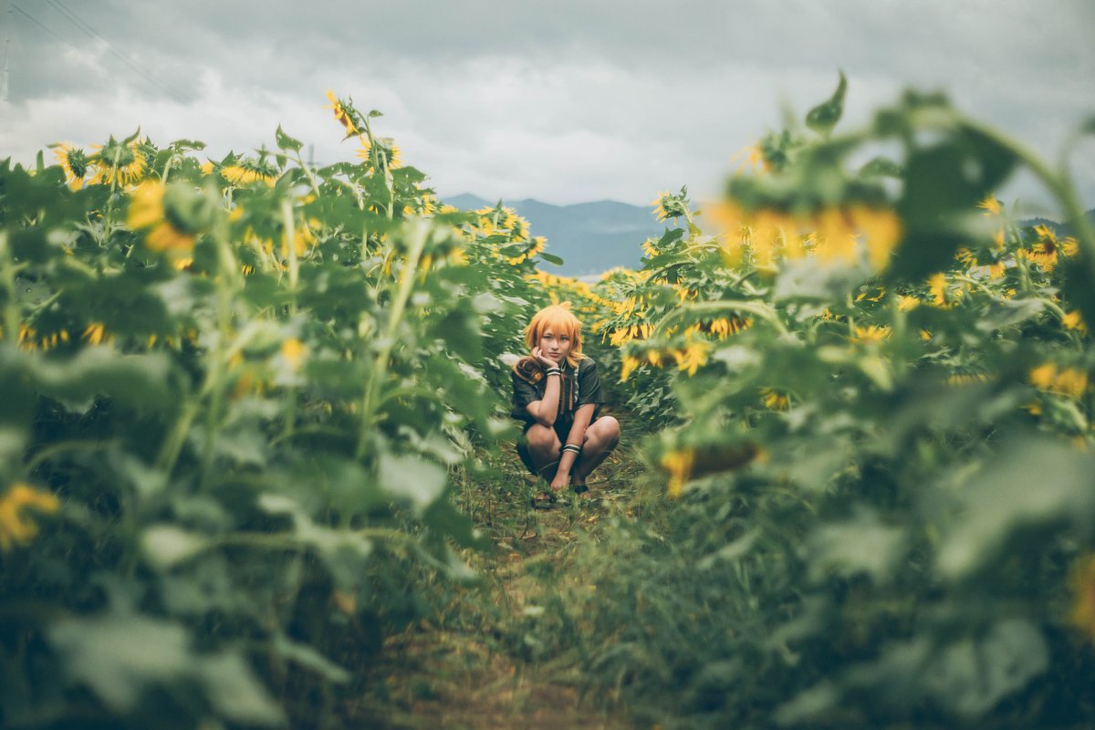 スコル　CC福岡B館た71b tweet media