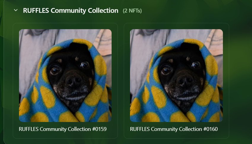 Yannn1993's tweet image. #gmove #wassa wassa
@GorillaMoverz  Thank you for your hard work, your new platform asspad.gorilla-moverz.xyz is simply cosmic, the era of potassium is coming!
@ruffmoves Gruff fam! We are waiting for your REVEAL NFTs
@moveindustries #nft