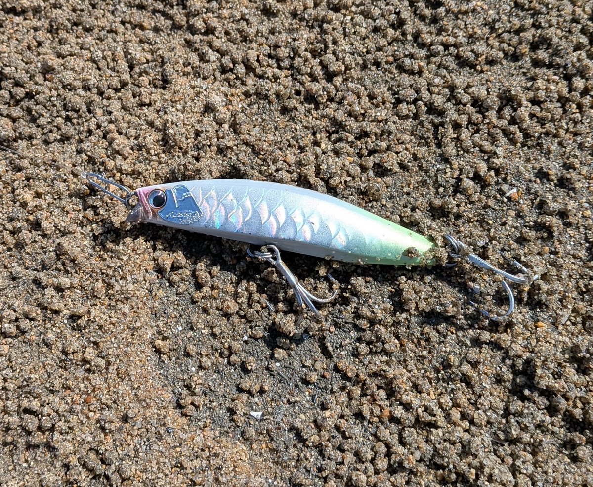 shimano - Search / X