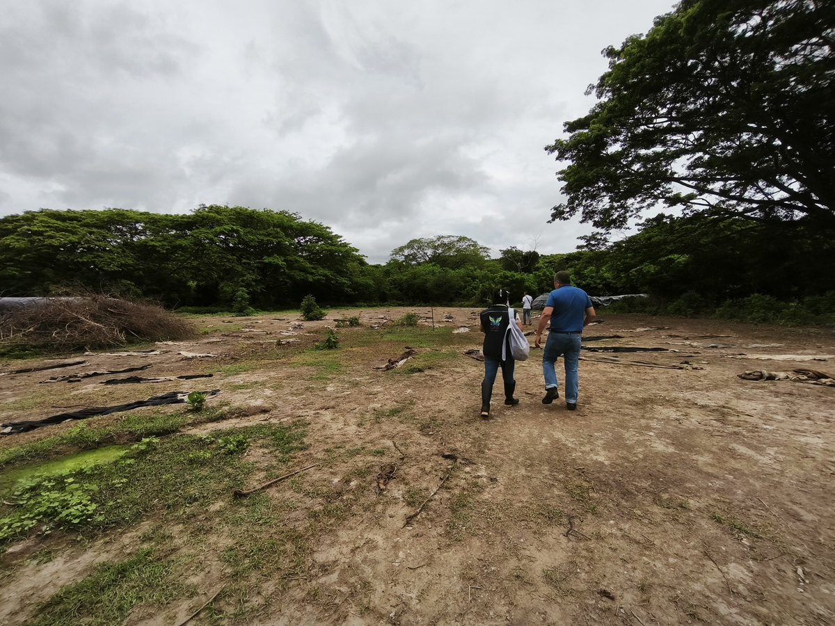 Alfred_Balle's tweet photo. En Guaduas, Cundinamarca, suspendimos actividades ilegales de procesamiento de pieles bovinas en un área de conservación del Plan de Ordenamiento y Manejo de Cuencas Hidrográficas (POMCA) del río Seco.❌

En la @CAR_Cundi seguiremos actuando y no permitiremos que este tipo de prácticas pongan en riesgo el bosque tropical y la sostenibilidad de nuestro territorio.