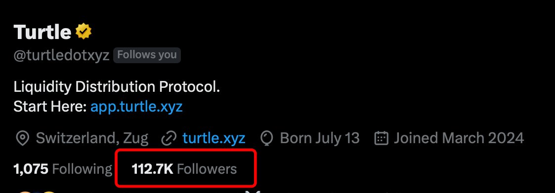 Turtles everywhere