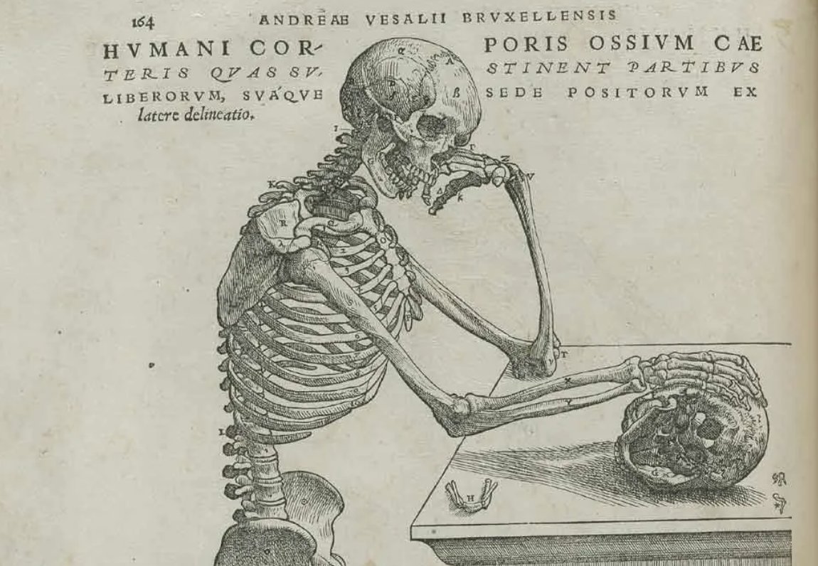 Anyone else go from hating science in school to loving it as an adult?  <a href="/nehaludyavar/">nehal</a>'s love letter to biology will speak to you. riskgaming.com/i/174530276/th…