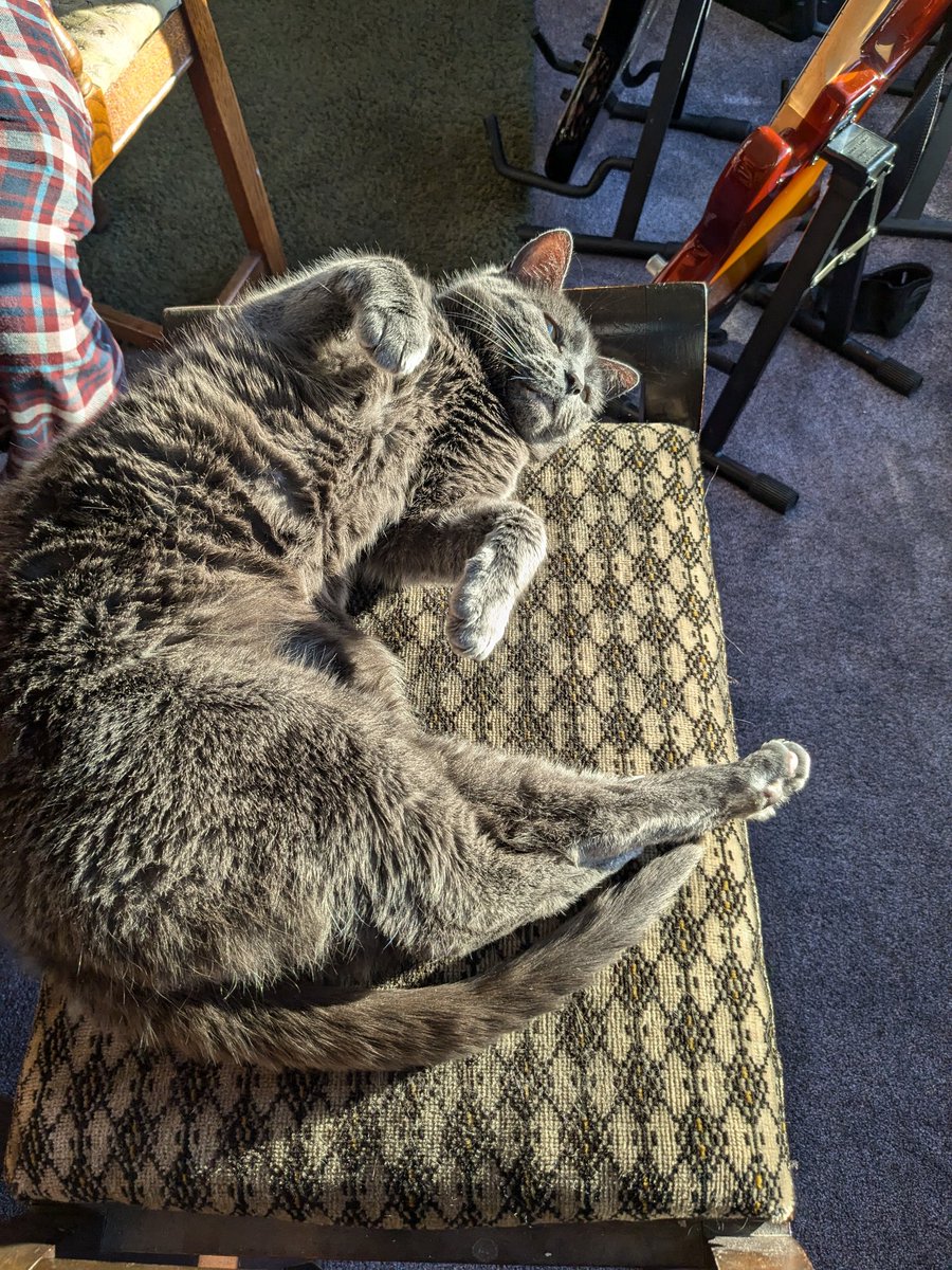 Revd Canon Rachel Firth tweet media