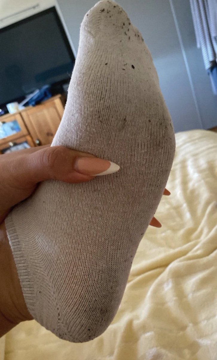 welcher kleiner Alman köpek arbeitet für meine socken grad? 50€ und du kannst den schweißduft deiner göttin riechen🤤
#herrin #feet #feetworshi̇p #footfetısh #slave #domina #nylonfetısh #nylon