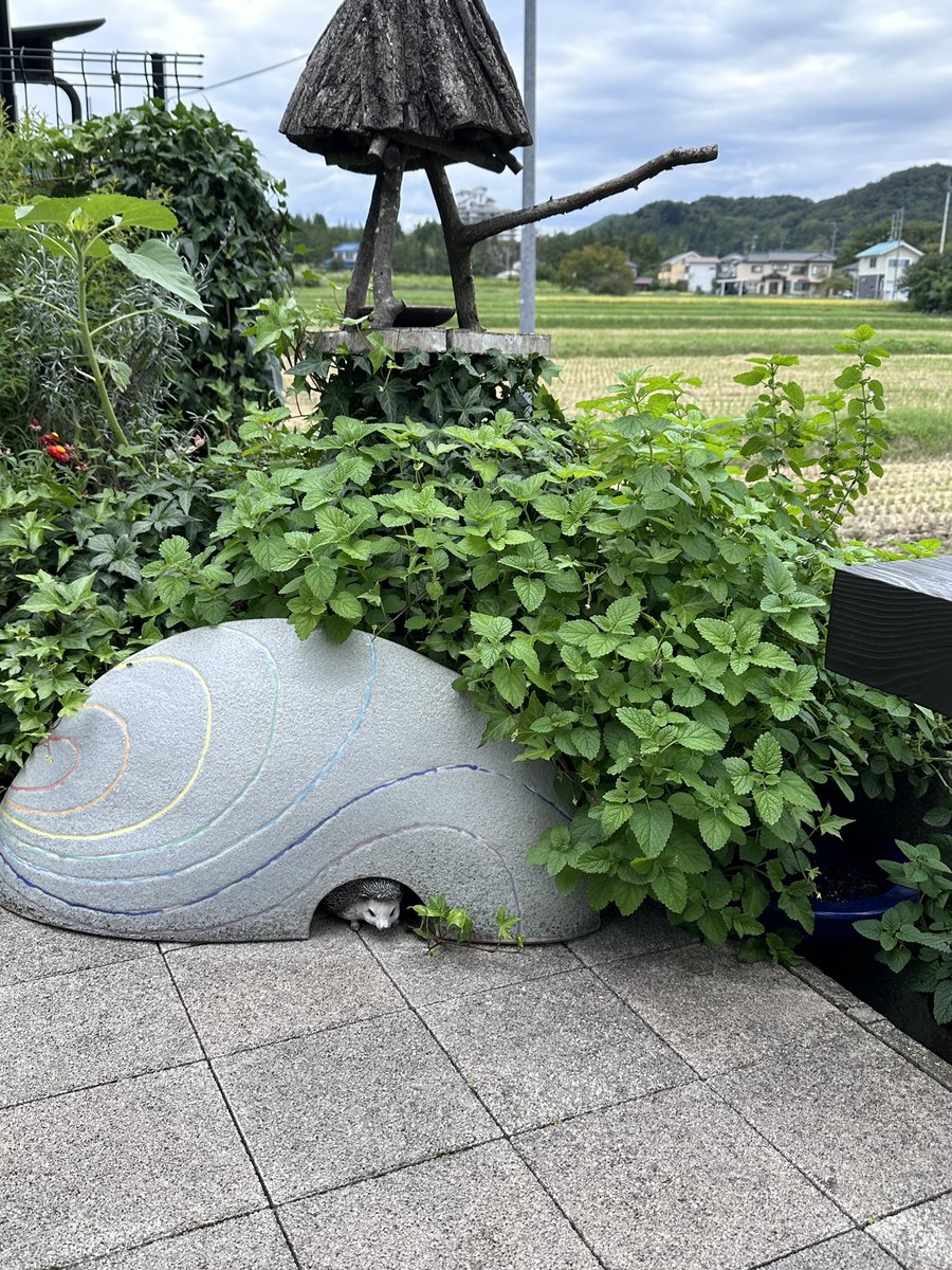 ru_to2121's tweet photo. 秋保行ってきた 先週に https://t.co/Npry7has8F
