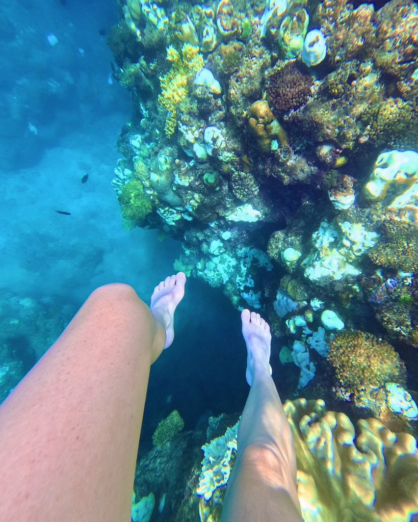 GraceCharis762's tweet image. Swim with me 🤿🐠☀️

#WWERaw