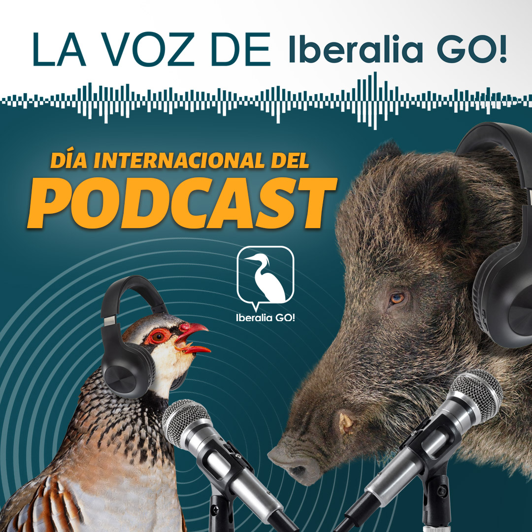 🎙️🌍 Hoy es el Día Internacional del Podcast… ¡y en Iberalia GO! también se escucha la caza y la pesca! 🏹🎣

Nuestros podcasts son la voz del campo y el agua 🌄🌊

📲🎧 Descúbrelos en 👉 app.iberaliago.com

#iberaliago #caza #pesca #diainternacionaldelpodcast