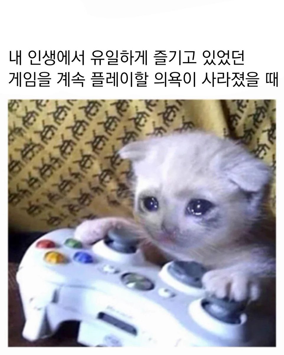 우울밈 번역계 (@depressed_kr) on Twitter photo 