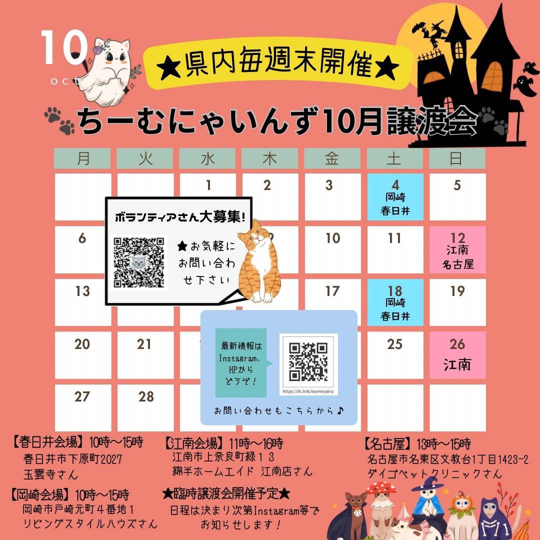 nyains_seto's tweet photo. 10月の譲渡会カレンダーになります。
どうぞよろしくお願い致します。
#ボランティア募集 
＃譲渡会
＃保護猫
＃ちーむにゃいんず
#猫好きさんと繋がりたい 
#猫のいる暮らし 
＃春日井 https://t.co/znzxSGPSeS