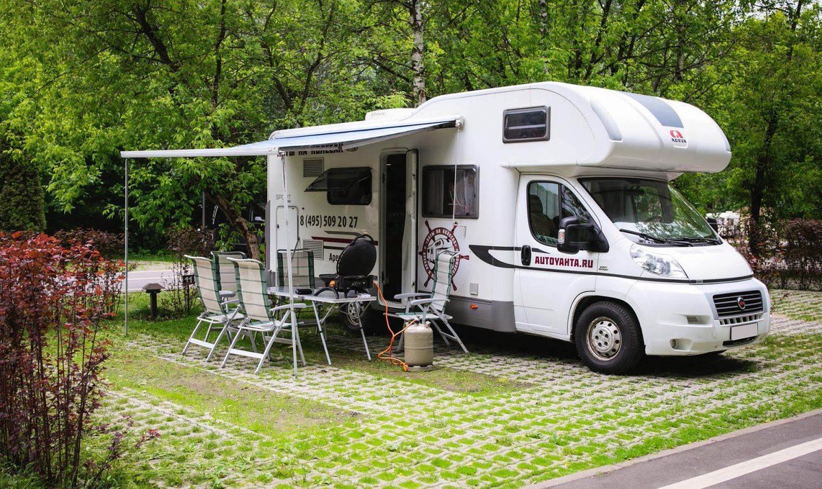 ольга ванибовна tweet media