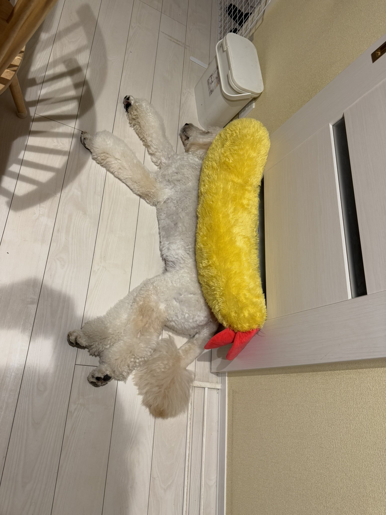 トリーヴァアルファディオス みかん トリーヴァ巨大天門（デッキ紹介