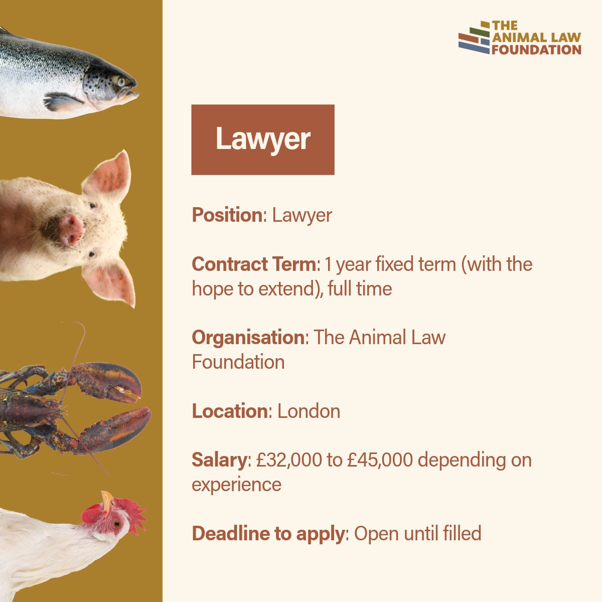 We are looking for a Lawyer and a Legal Caseworker to join our team in London!

If you are interested in using your legal expertise and experience to protect animals and pursue a meaningful career in animal law, apply for the role that best meets our eligibility criteria: