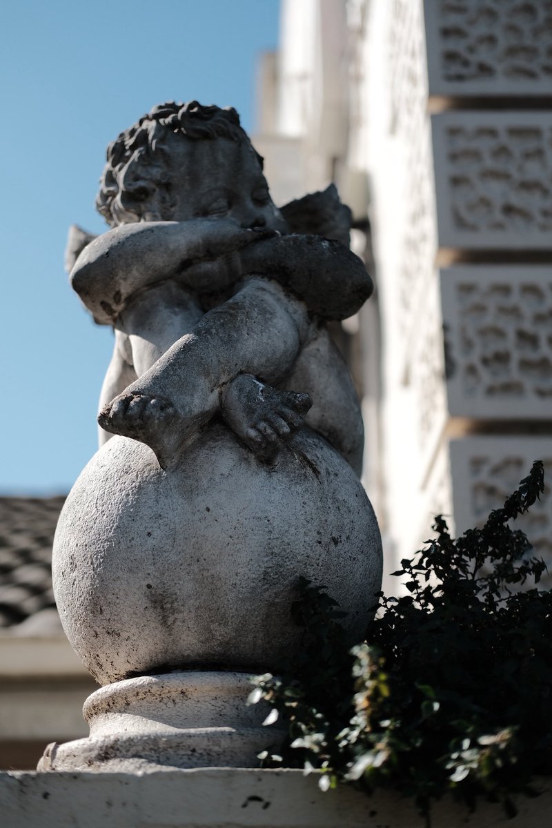 大❌富㍿ tweet media