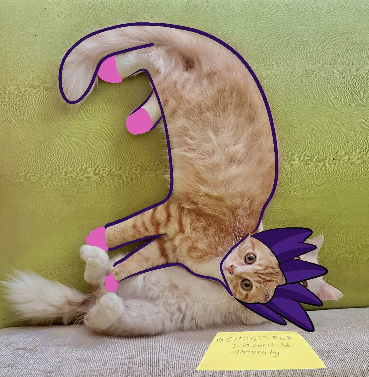 My cat contributes to #Chogtober, and I make him chogable. <a href="/chog/">Chog (mainnet arc)</a>