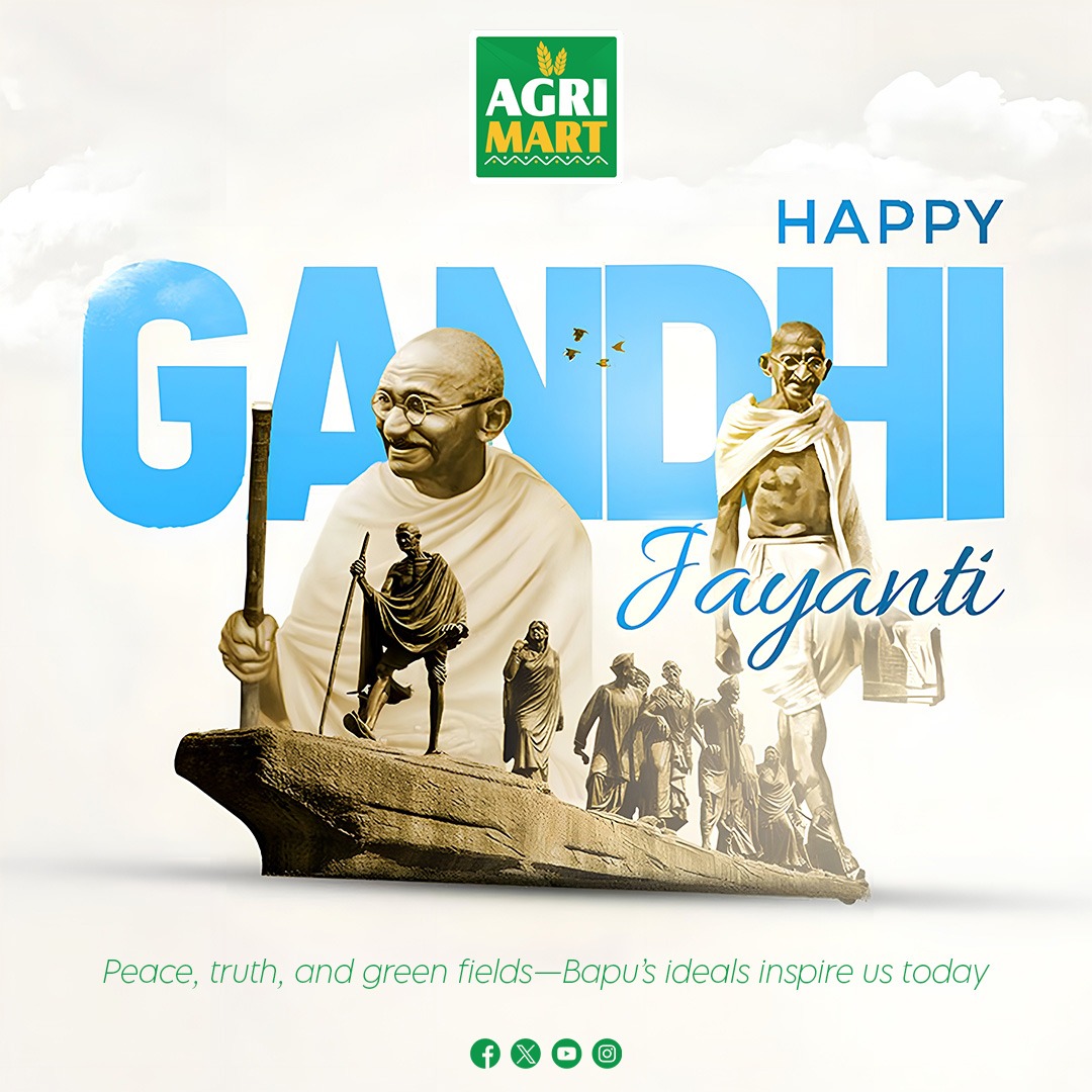Agrimart3's tweet photo. ✨ Wishing you a peaceful and inspiring Gandhi Jayanti from AgriMart! 🌿🌾
May the values of truth, non-violence, and hard work guide your path to success.
#GandhiJayanti #AgriMart #Peace #Inspiration #HarvestSuccess https://t.co/xKfJbUvaZ9