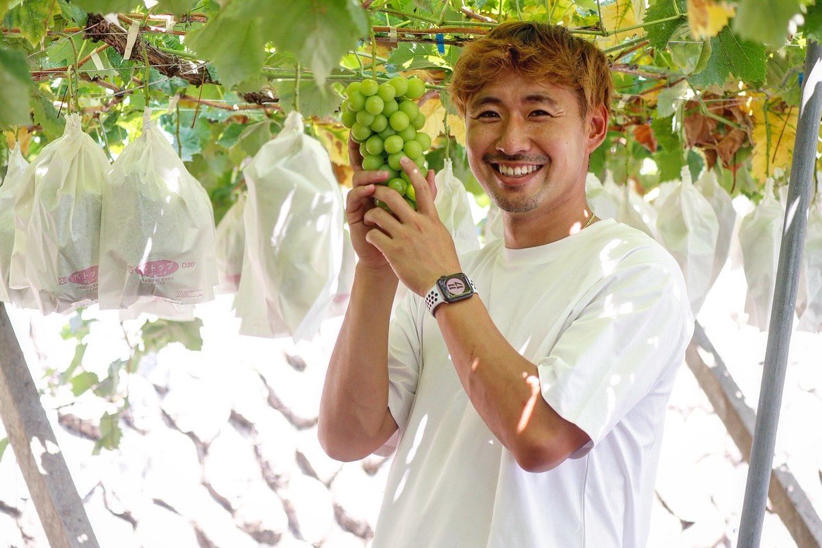 石井幹人/かんかん/果物農家🍇🍑 tweet media