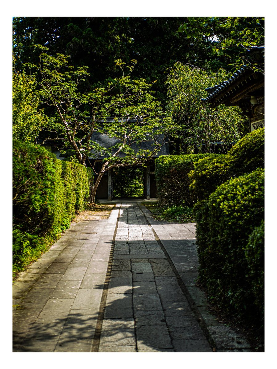 びびっとぼーい tweet media