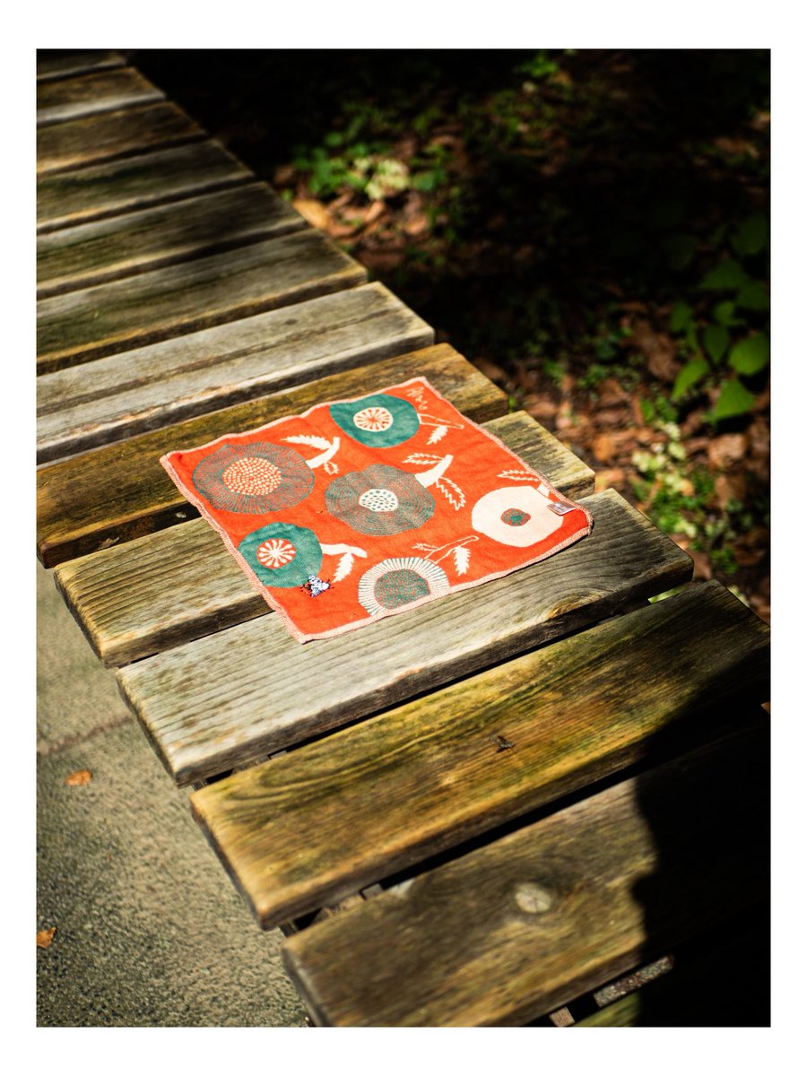 びびっとぼーい tweet media