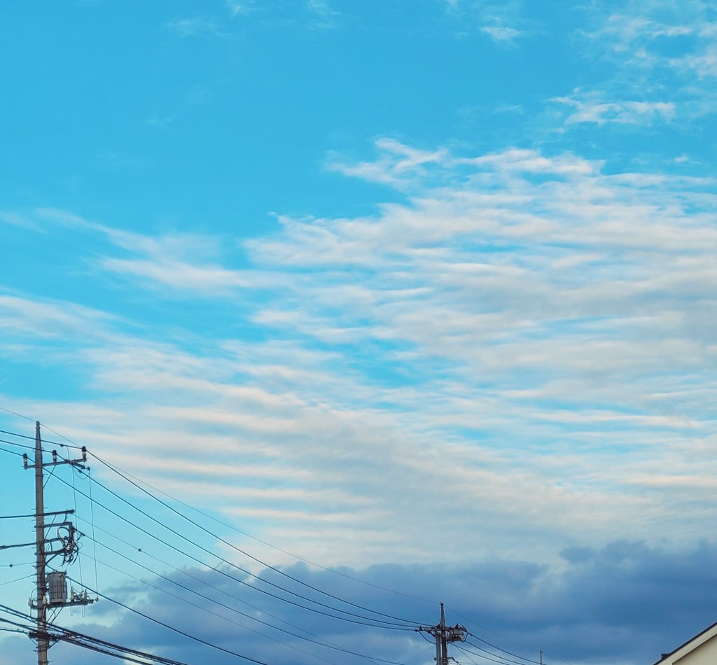 358akr's tweet photo. 大空の大翼🐦️
右翼、これでかい！

#空 #羽 #雲 #青空 https://t.co/GjSSl3RCwg