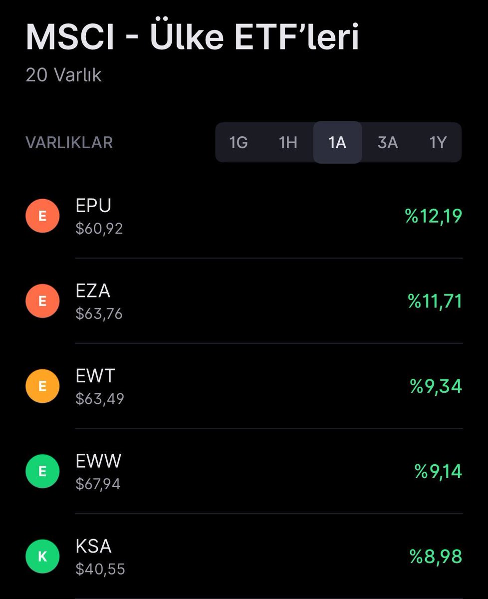 Fon Yatırımı tweet media