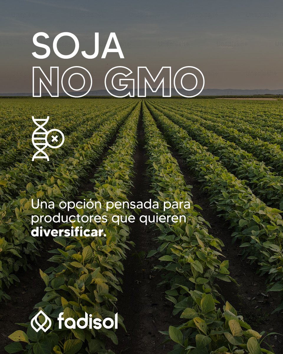 Diversificar no es solo una estrategia: es abrir camino a nuevas oportunidades.
Con la Soja No GMO sumás una alternativa productiva que se adapta a distintos esquemas de trabajo.

Te contamos más: 📲 095 67 60 74 | 📞 4576 2283