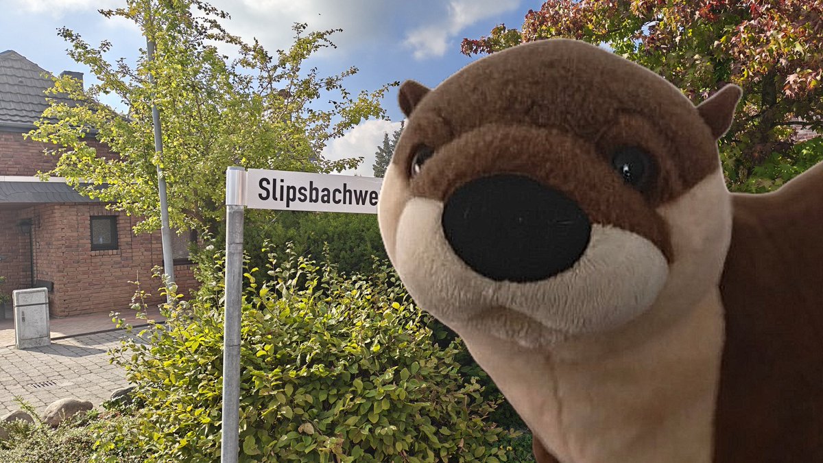 FDGOtter's tweet photo. Manchmal braucht ein FDGOtter Erholung vom Kampf gegen Feinde des Grundgesetzes. 

Ich bin ja letztes Jahr bisschen mehr aufs Land gezogen. So ein Stadtteil, der eher ein Dorf ist. 

So idyllisch. Mit süßen Fußwegen unter Bäumen und am Bach entlang. Was will ein Otter mehr? https://t.co/Bqoz8S9B6z
