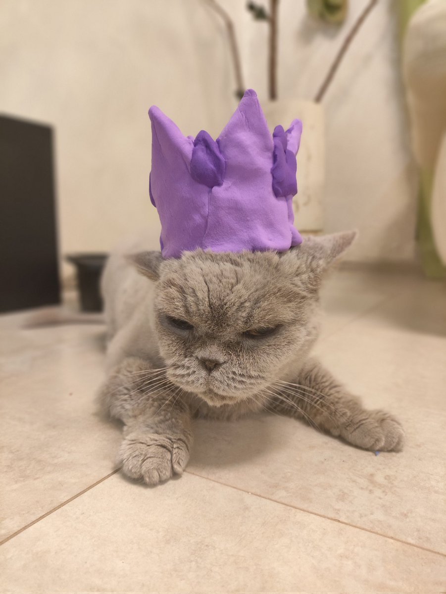 <a href="/monad/">Monad (mainnet arc)</a> <a href="/0xVikrew/">Vikrew</a> It's cat Lily !