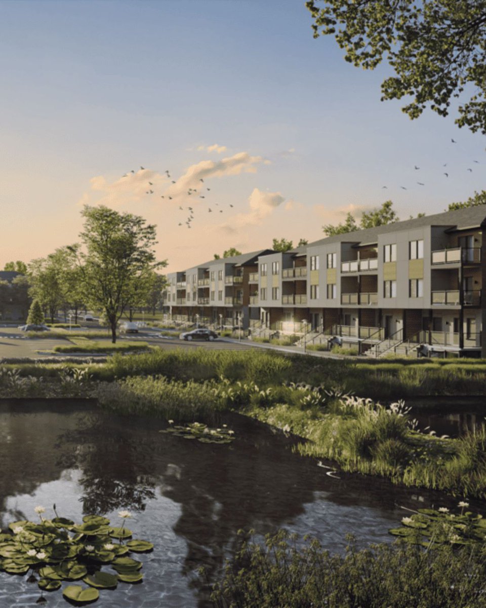 Eleven Eleven Real Estate Services tweet media