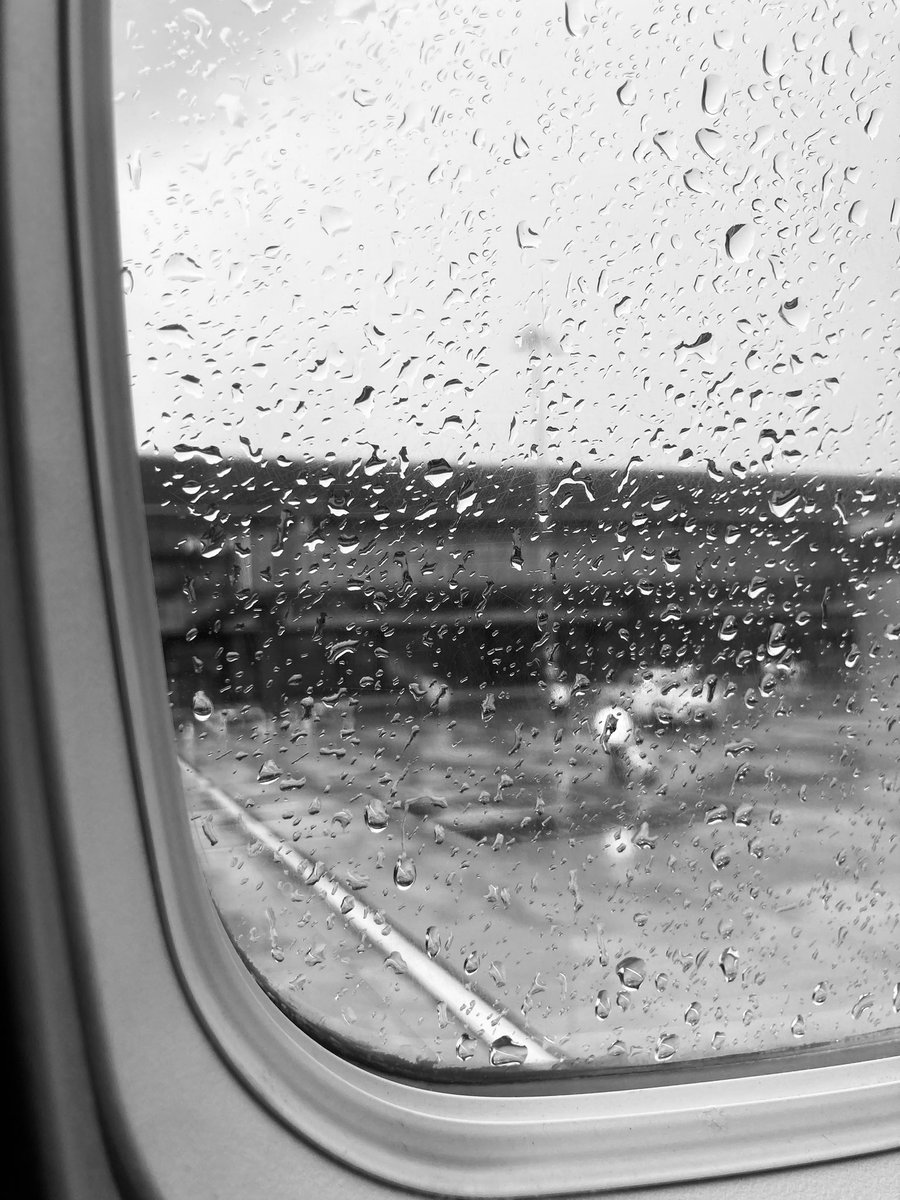 TenganCharles's tweet image. Very fruitful! 
#Steptember