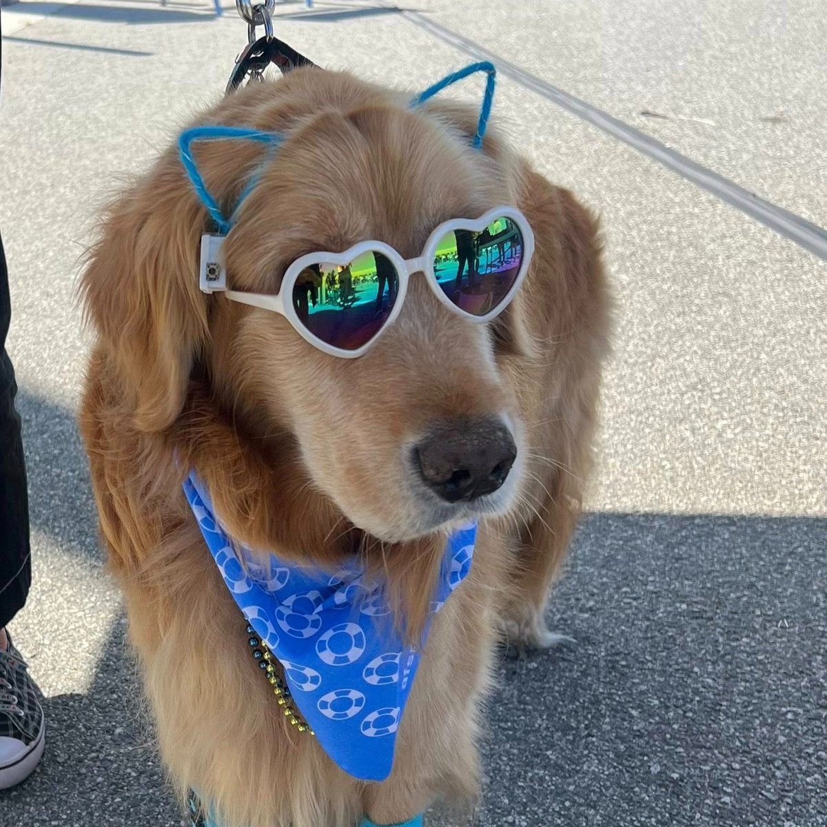afspsfchapter's tweet photo. On 9/20, we welcomed 800 participants for the 2025 SF Out of the Darkness Community Walk, raising more than $114,000 to help fight suicide! We'd like to thank every single person who made this possible. Your efforts to raise awareness and reduce stigma are saving lives. https://t.co/W9x1eVGdXD