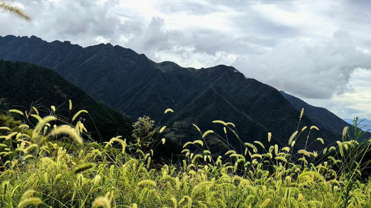Jade9291's tweet photo. I encountered beauty in a foreign land at noon. https://t.co/P8FPWfVIac