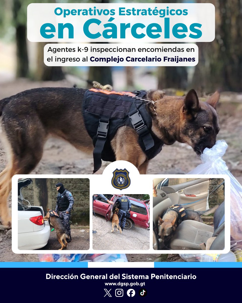 _SPGuatemala's tweet photo. 🐕👮‍♂️ Con el objetivo de prevenir el ingreso de objetos ilícitos, el Sistema Penitenciario utiliza binomios K-9 que supervisan las encomiendas que ingresan a los distintos Centros Carcelarios.

✅ Seguridad
✅ Prevención
✅ Compromiso

#SPenAcción #K9 #SeguridadPenitenciaria https://t.co/NRDQkeFRTZ