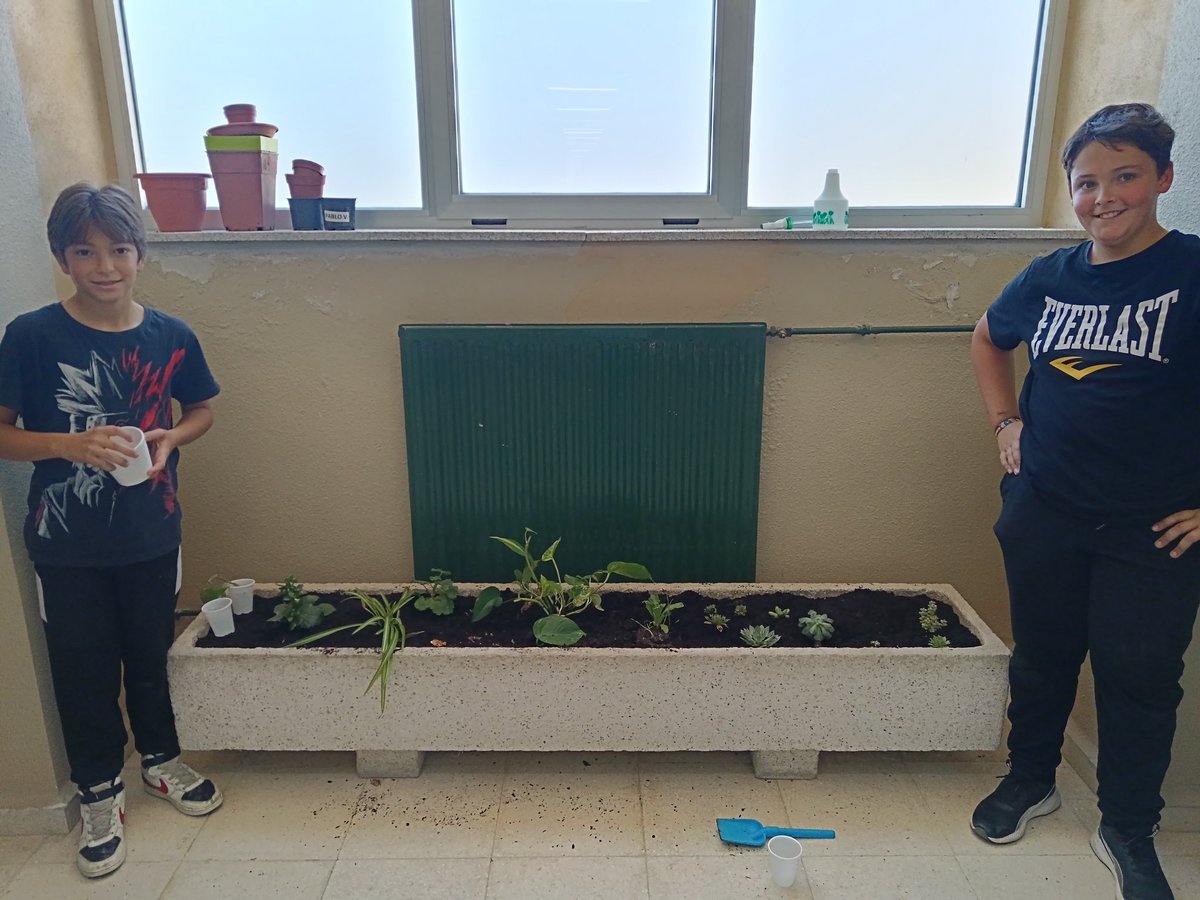 ceipmanuelmore's tweet photo. Nuestros chicos de sexto acondicionando nuestro macetero escolar. Gracias a las familias por su colaboración. https://t.co/WPy7I77ZK0
