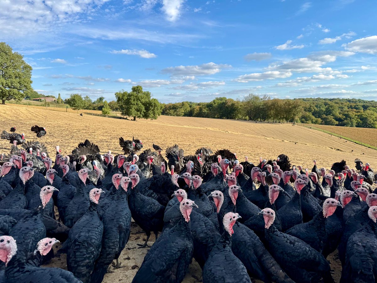 Image for the Tweet beginning: Chaque début d’année, Yannick élève