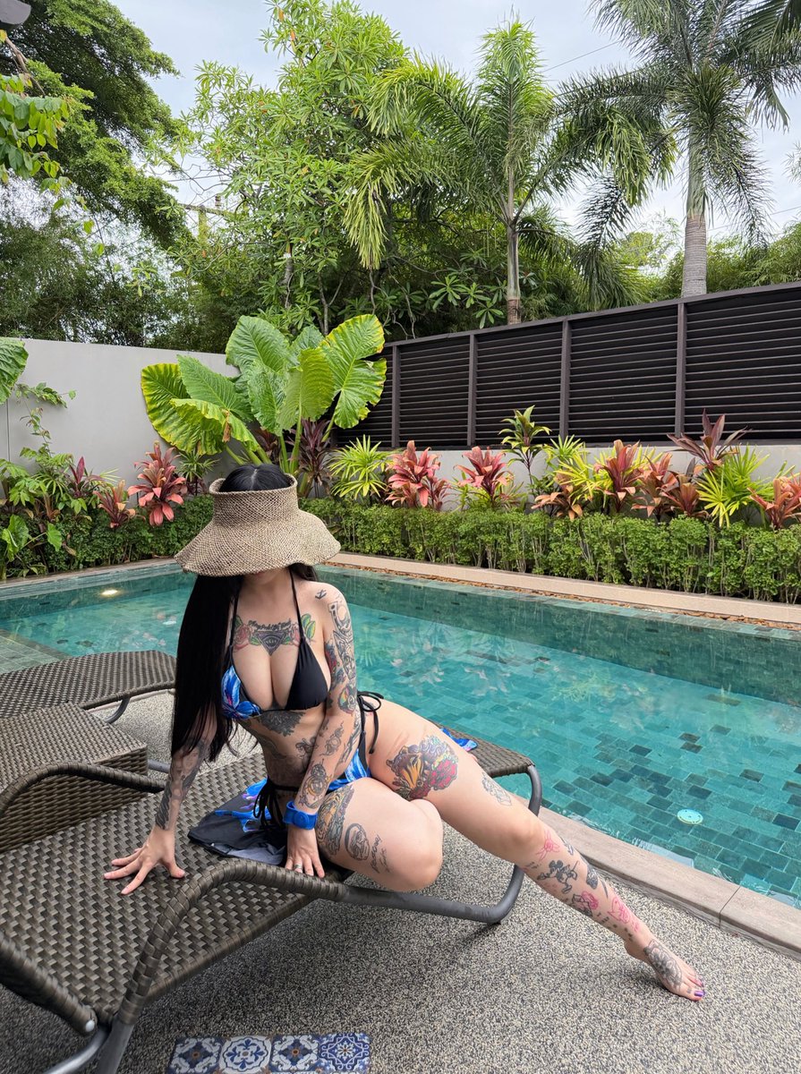 卡通百科老王 tweet media