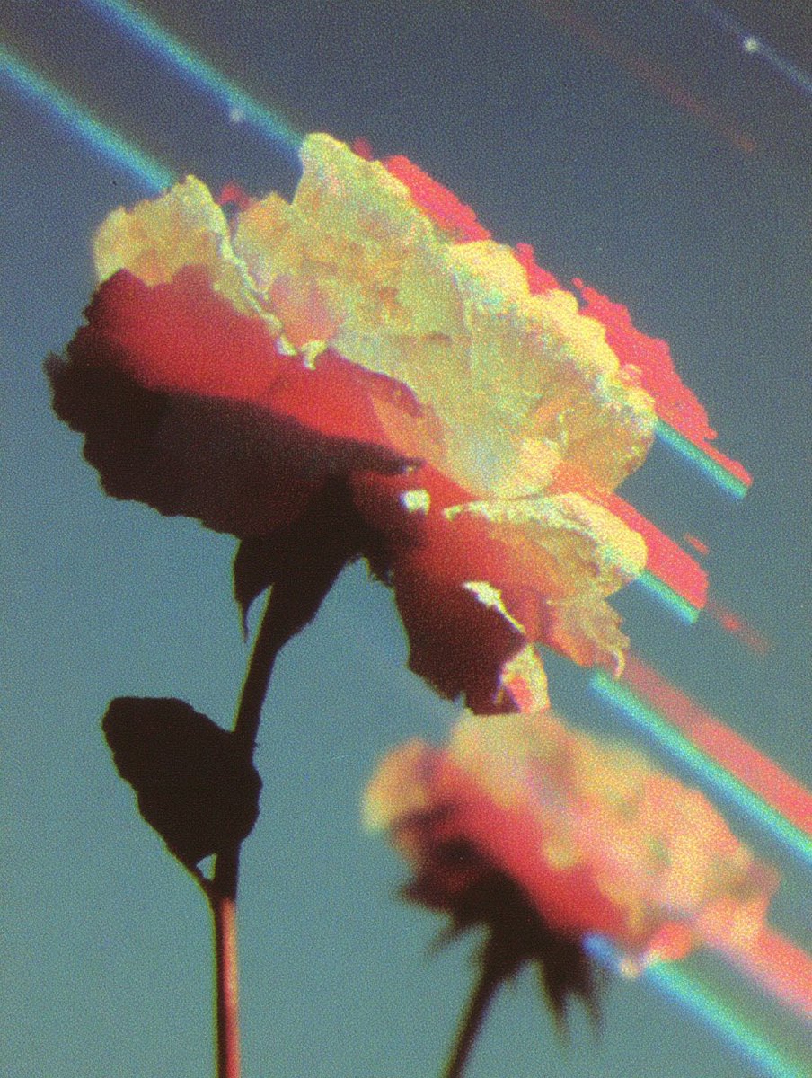 latte labs 🍵 (@latte_labs) on Twitter photo 