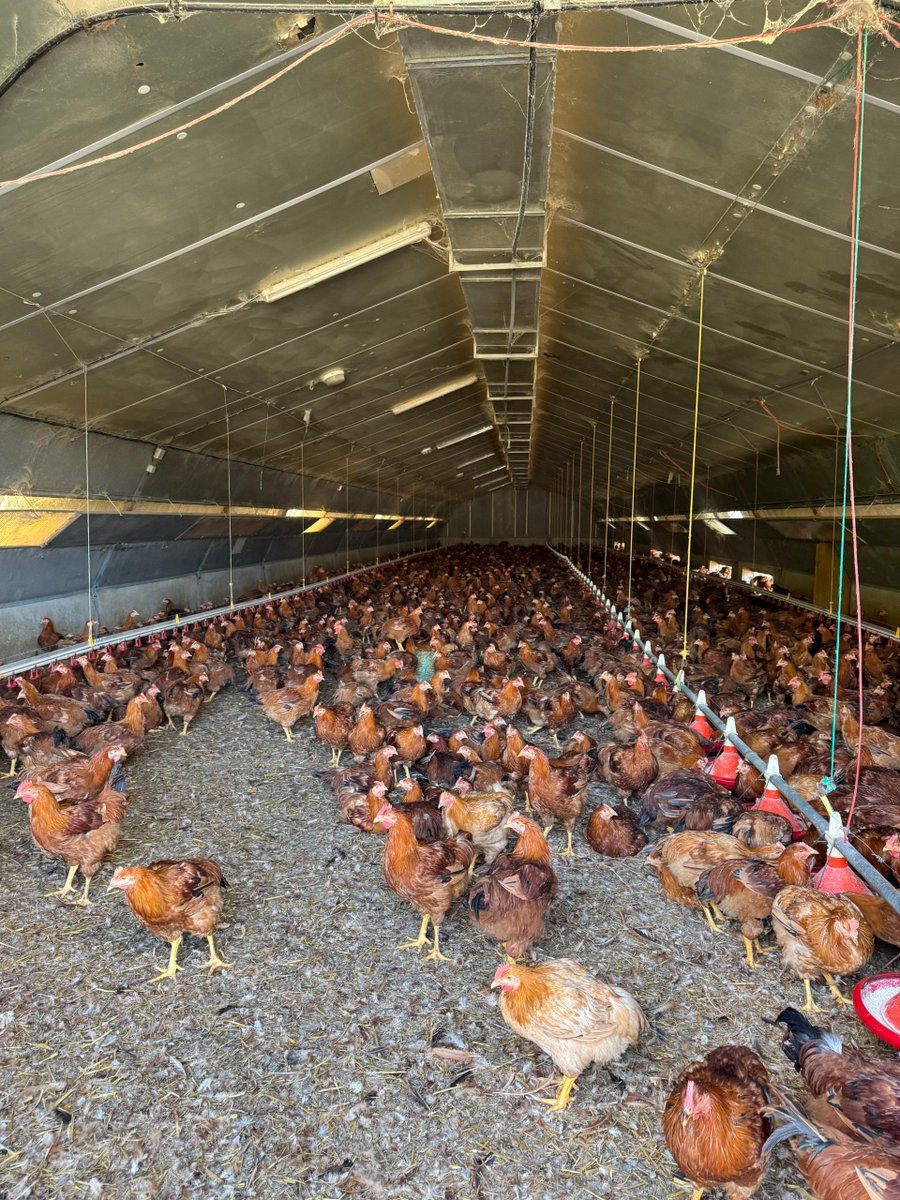 Image for the Tweet beginning: Enfin, ce sont 7 000