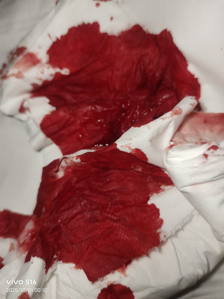 我的血管中流淌的血液是最艳丽的颜色，低落在纸上是美丽的玫瑰。