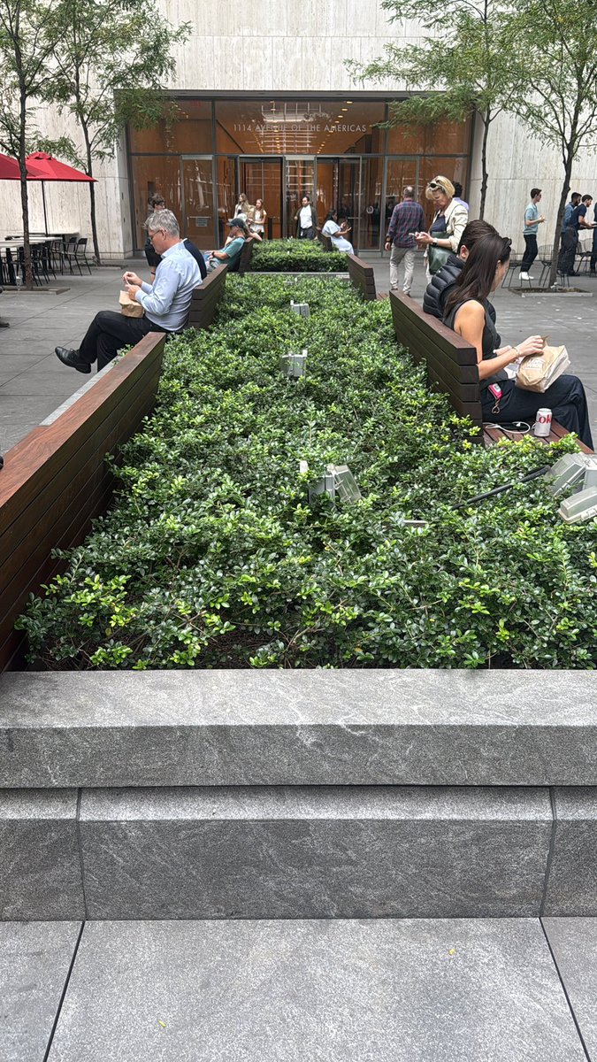 HartselFindBird's tweet photo. @gigpalileo @CentralParkNYC It is inside this planter right now https://t.co/3nRZ2M6rxb