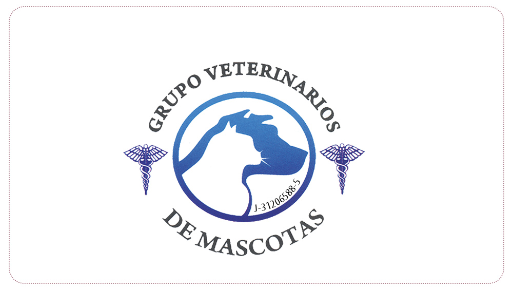 MascotasToday's tweet photo. Grupo Veterinarios de Mascotas en puerto la cruz https://t.co/PSLbDO6KNL • Consultas veterinarias
• Vacunaciones
• Peluquería canina
• Laboratorio
• Farmacia
• Cirugía general
• Esterilizaciones
• Asesoría general https://t.co/D3jTgIeIg6