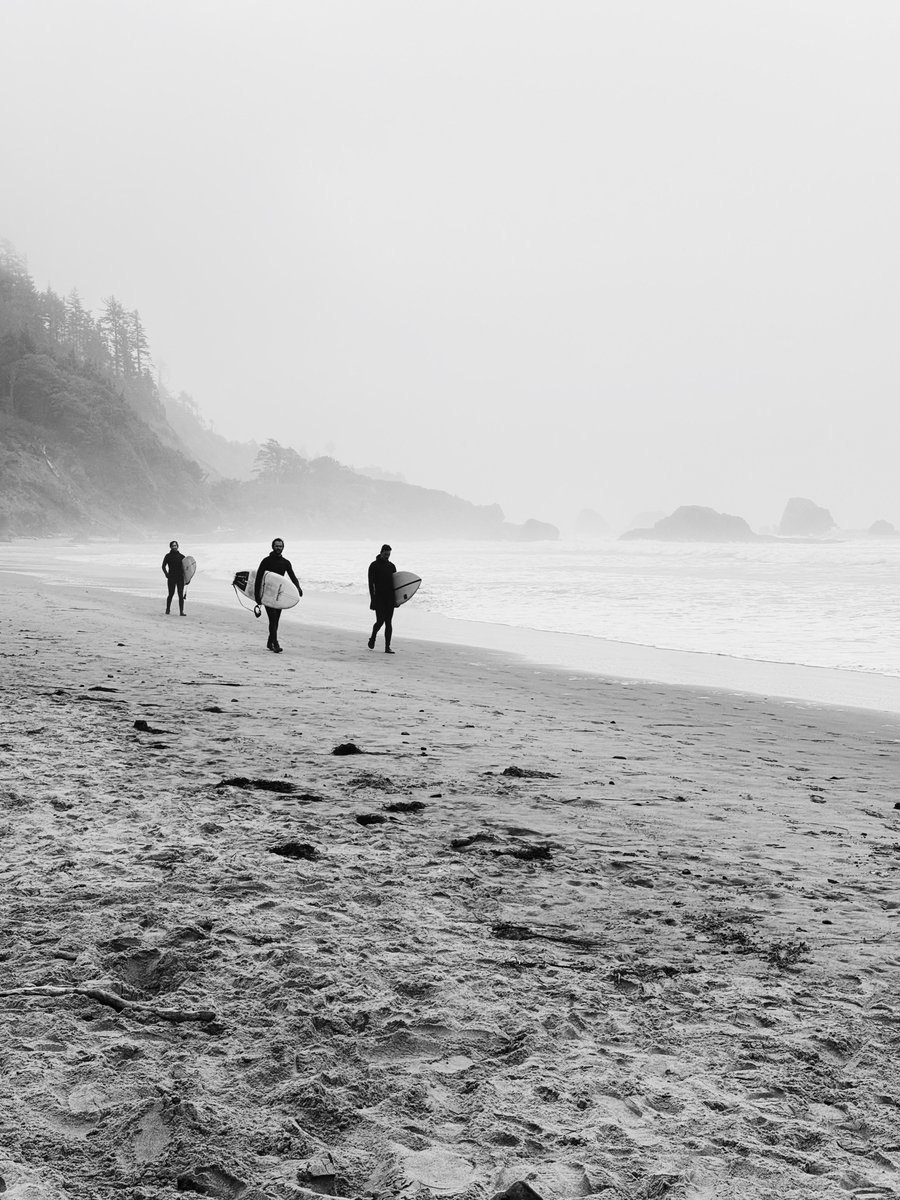 Where the forest meets the sea