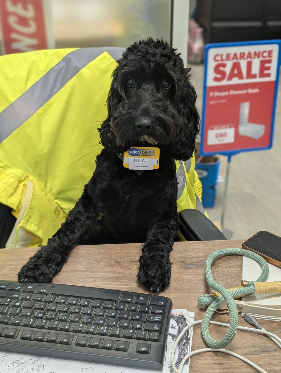 Selco Builders Warehouse tweet media