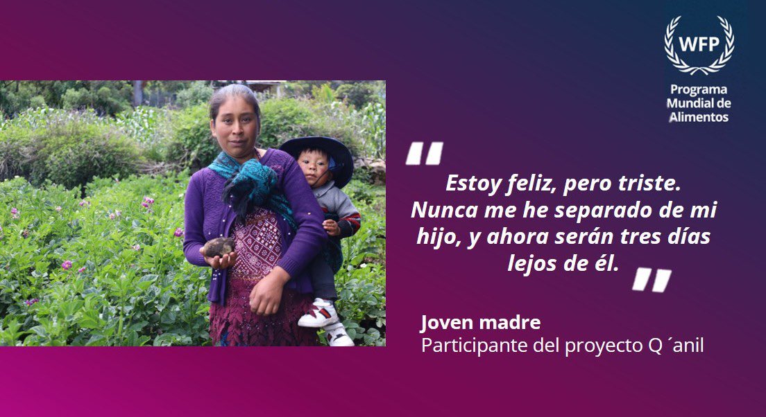 WFPGuatemala's tweet photo. 🌄 En los Cuchumatanes, la vida transcurre entre frío, caminos remotos y recursos limitados.
Una joven madre enfrenta estos retos mientras protege la salud de su familia con el apoyo de brigadas de nutrición.
#HowardG.BuffettFoundation
📖 Lee su historia y conoce su impacto https://t.co/yIym1cWVAJ