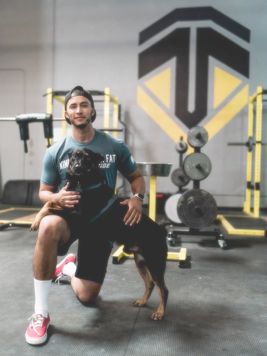 NoobKing tweet media