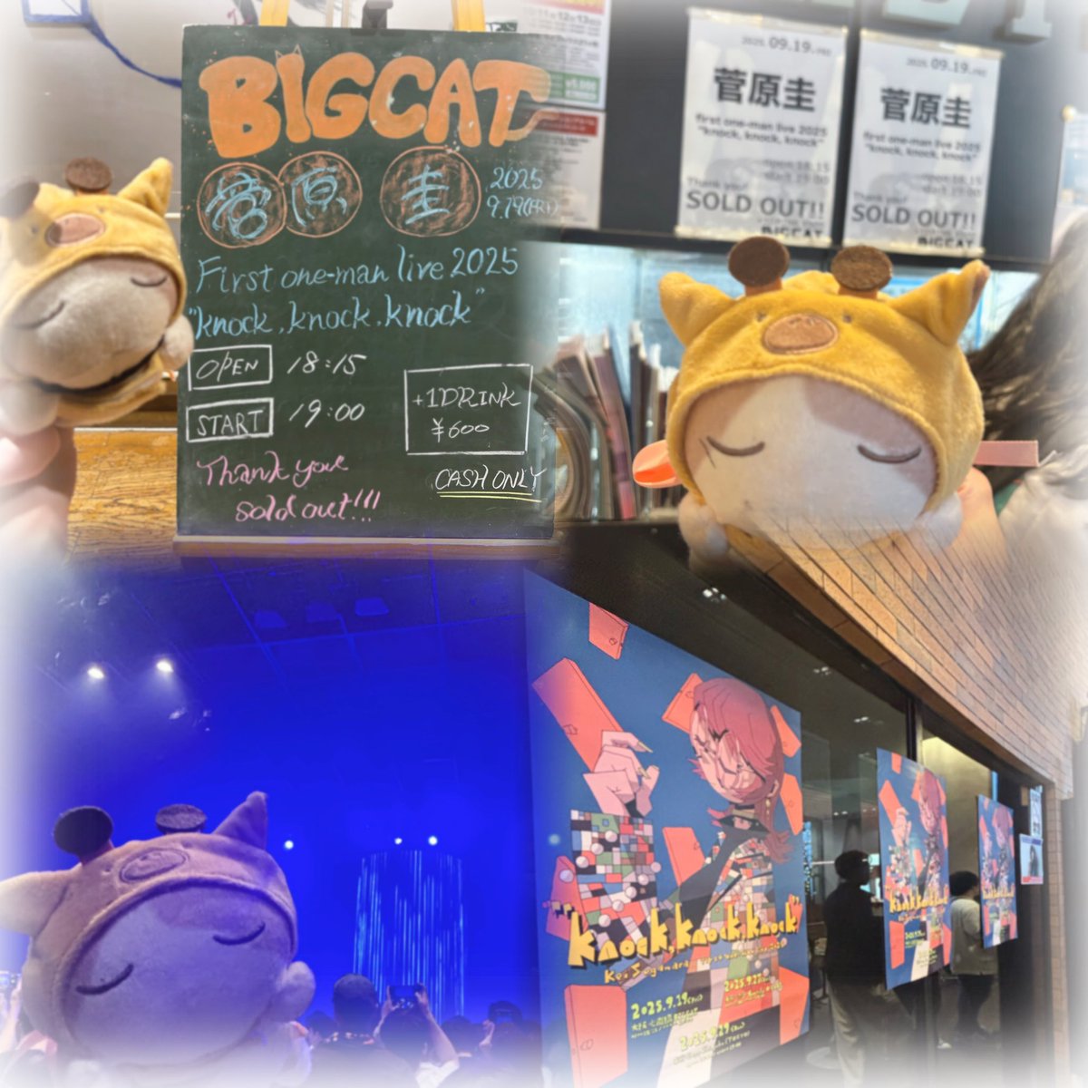 1327_0o's tweet photo. kkk大阪公演🌟
ちょっぴり笑えるMCも、
心に届く素敵な歌声も幸せで大切な時間🌟

人生に色を付けてくれてありがとう。
これからもずっと愛を伝えます🌱

おたまさん乳酸菌さんｳｴｷさんﾂｷﾂﾚ様宅の子達とお写真ご一緒させてもらいました📷✨️
ｶﾜｲｲﾈ…🐈🐥

#菅原圭_kkk 
#菅原圭 https://t.co/GZdSIRO76G