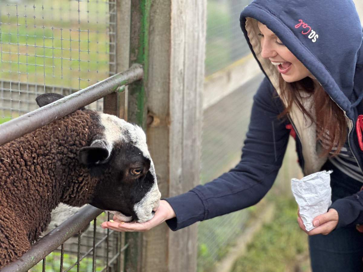 LondonMuseumsAZ's tweet photo. LoMAZ Extra: On Sat 13 Sept, 16 of us had a moo-vellous time at the @surreydocksfarm Harvest Festival 🥳 Morris dancing, animals, crafts, tasty bites &amp; a quiz for the farm’s 50th! A little drizzle but lots of fun celebrating the harvest together 🍂🥪🧁 https://t.co/nEgvRPPWsI